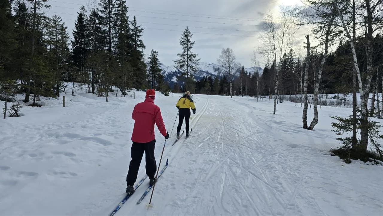 Zwei Langläufer auf einer Loipe im verschneiten Wald